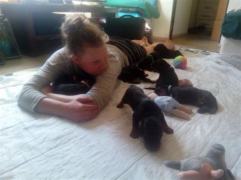 hallariekon kennel|Hallariekon kennelin vuosi 2021 oli .
